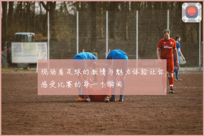 现场看足球的激情与魅力体验让你感受比赛的每一个瞬间