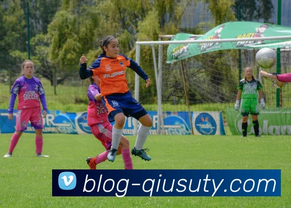 球速体育官方网站APP 封面图